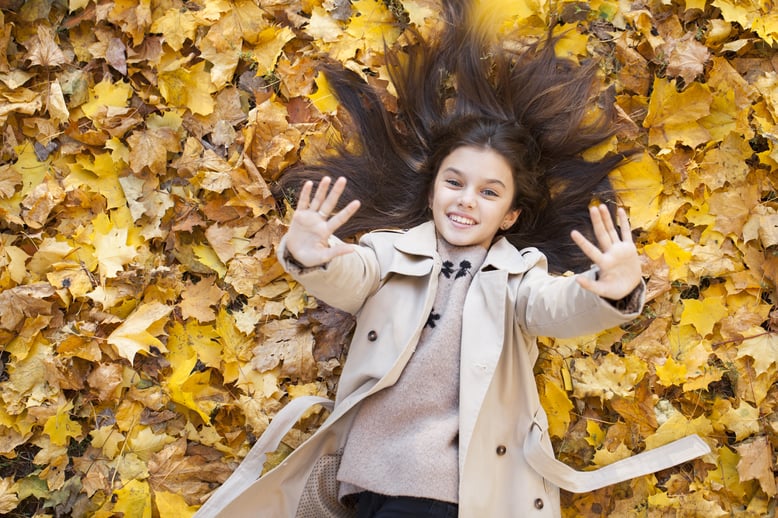 AdobeStock_233367742
